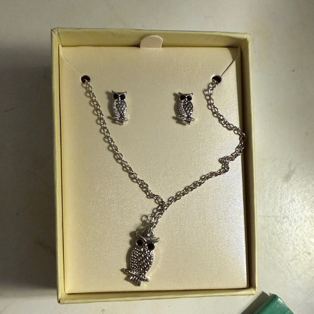 Silver Owl Jewelry Set